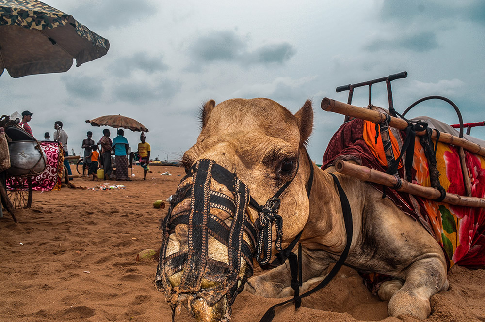 Beach Or Life: Photo Series By Indian Photographer Soumyabrata Roy